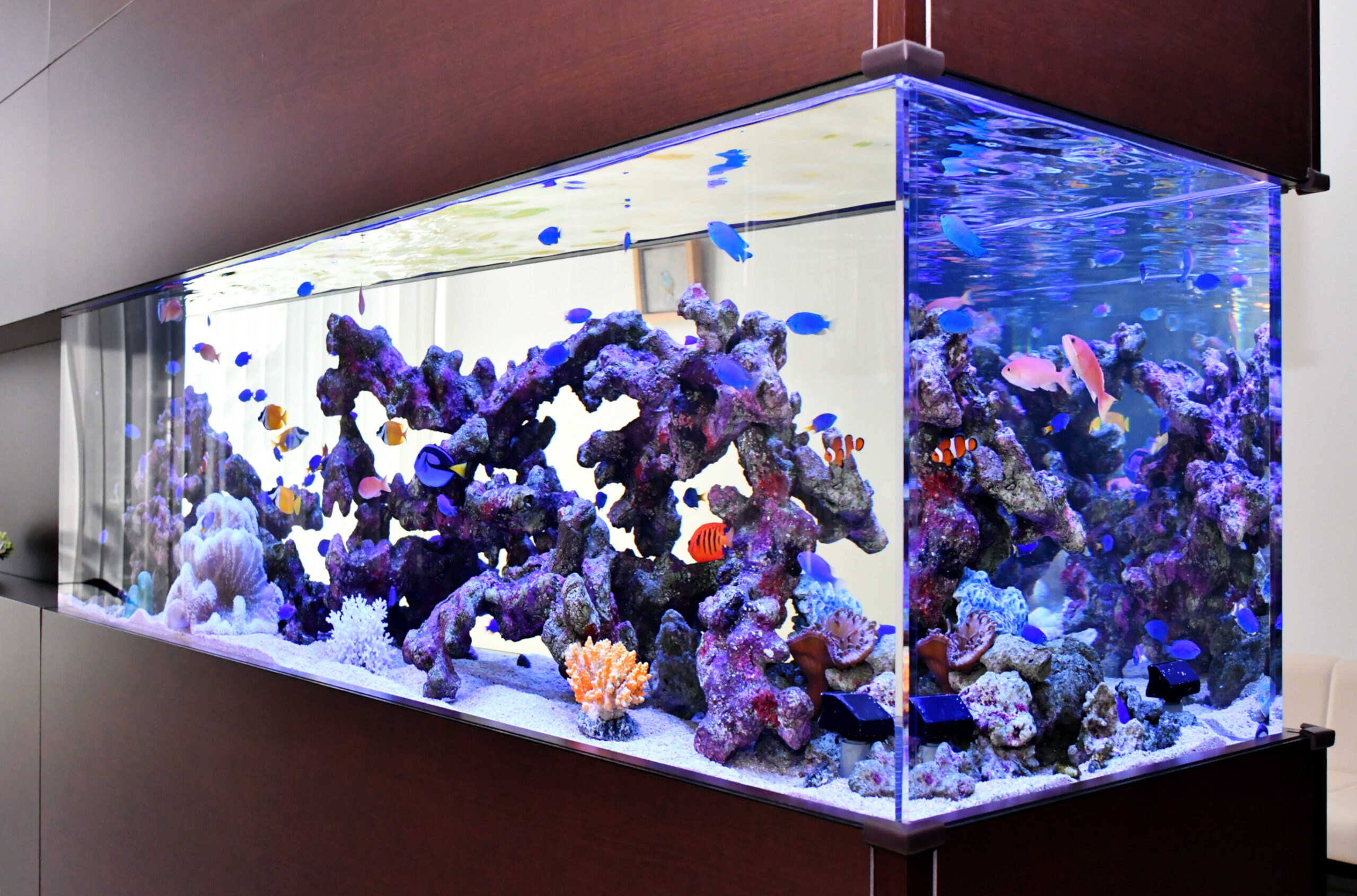 愛知、岐阜、三重で熱帯魚水槽レンタルの設置事例写真