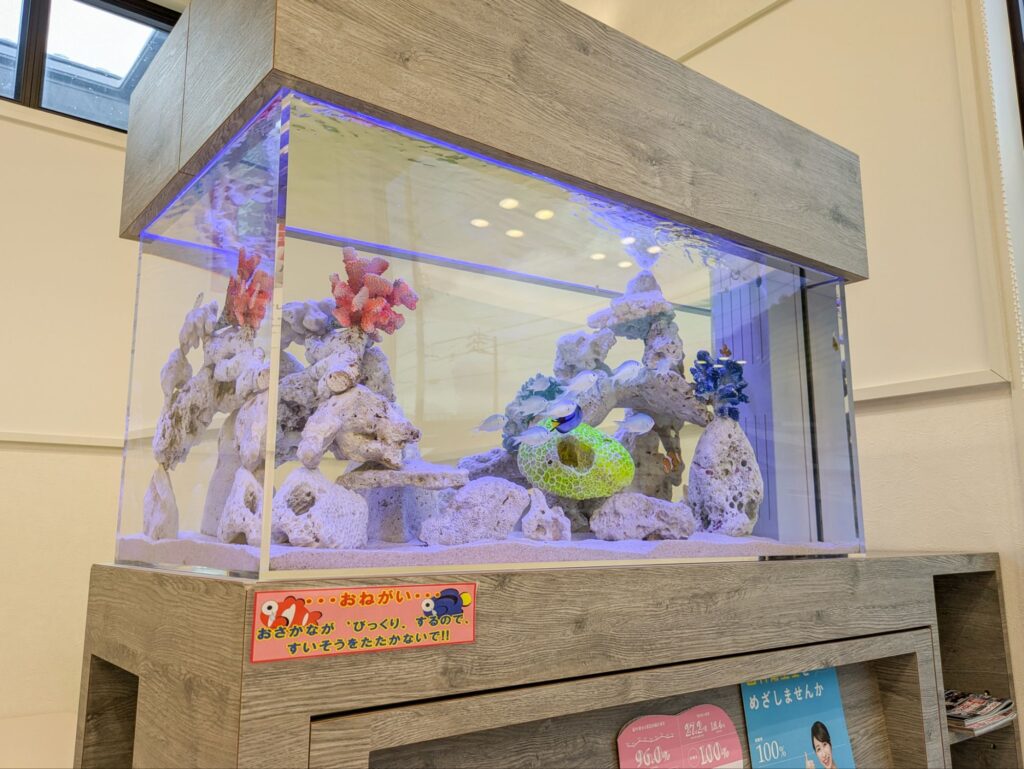 岐阜水槽レンタル