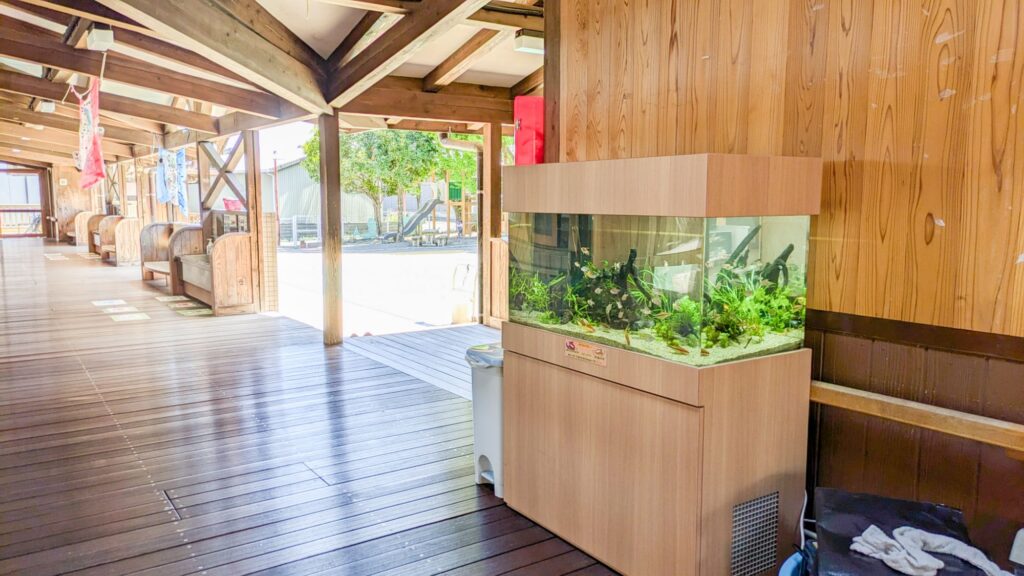 愛知県の幼稚園に置いてある熱帯魚水槽の設置事例