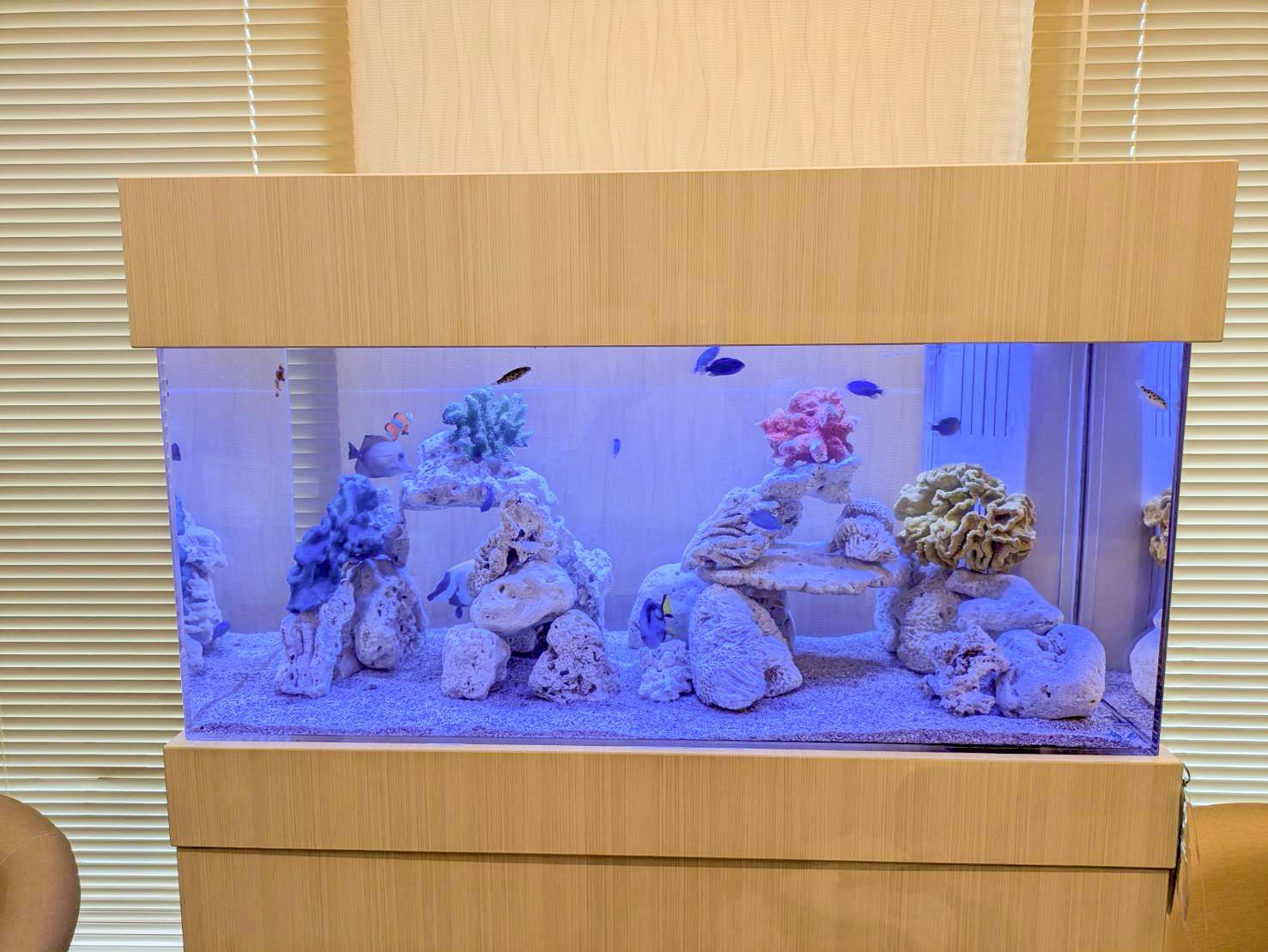 愛知水槽レンタル