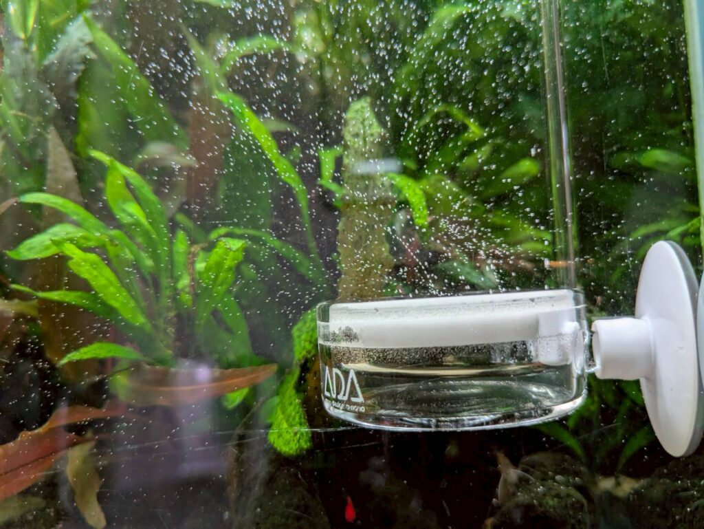 水草水槽