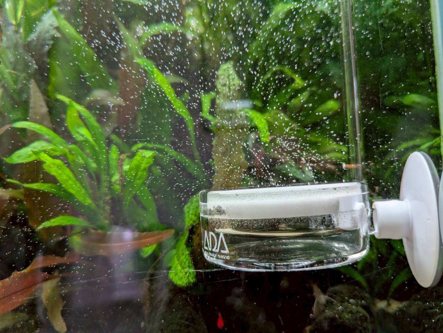 水草水槽