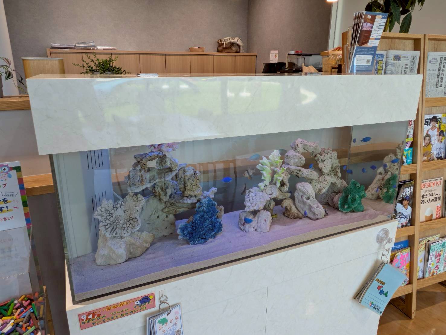 岐阜県水槽設置