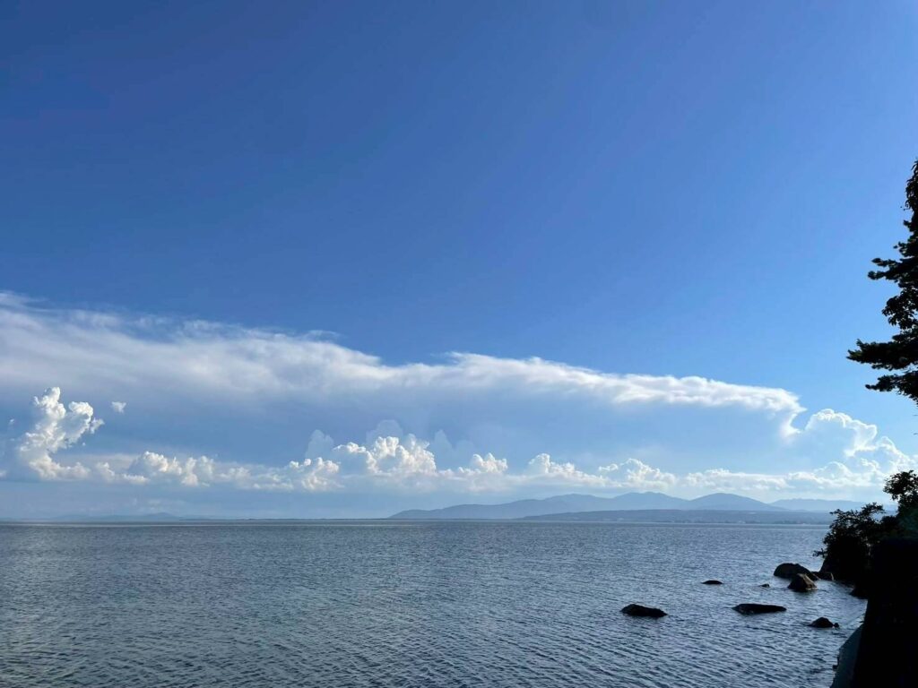 琵琶湖の魚