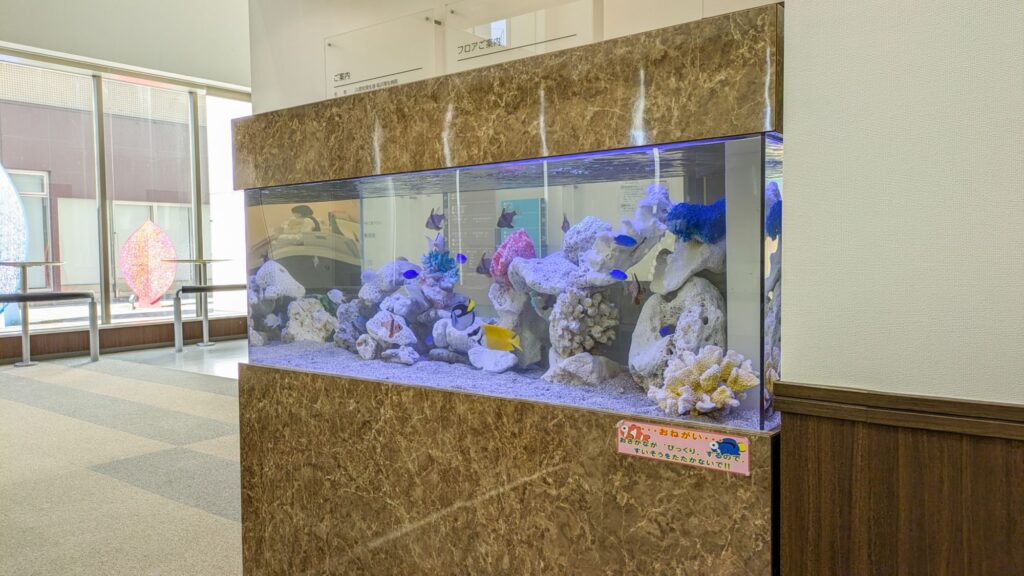 熱帯魚水槽レンタル