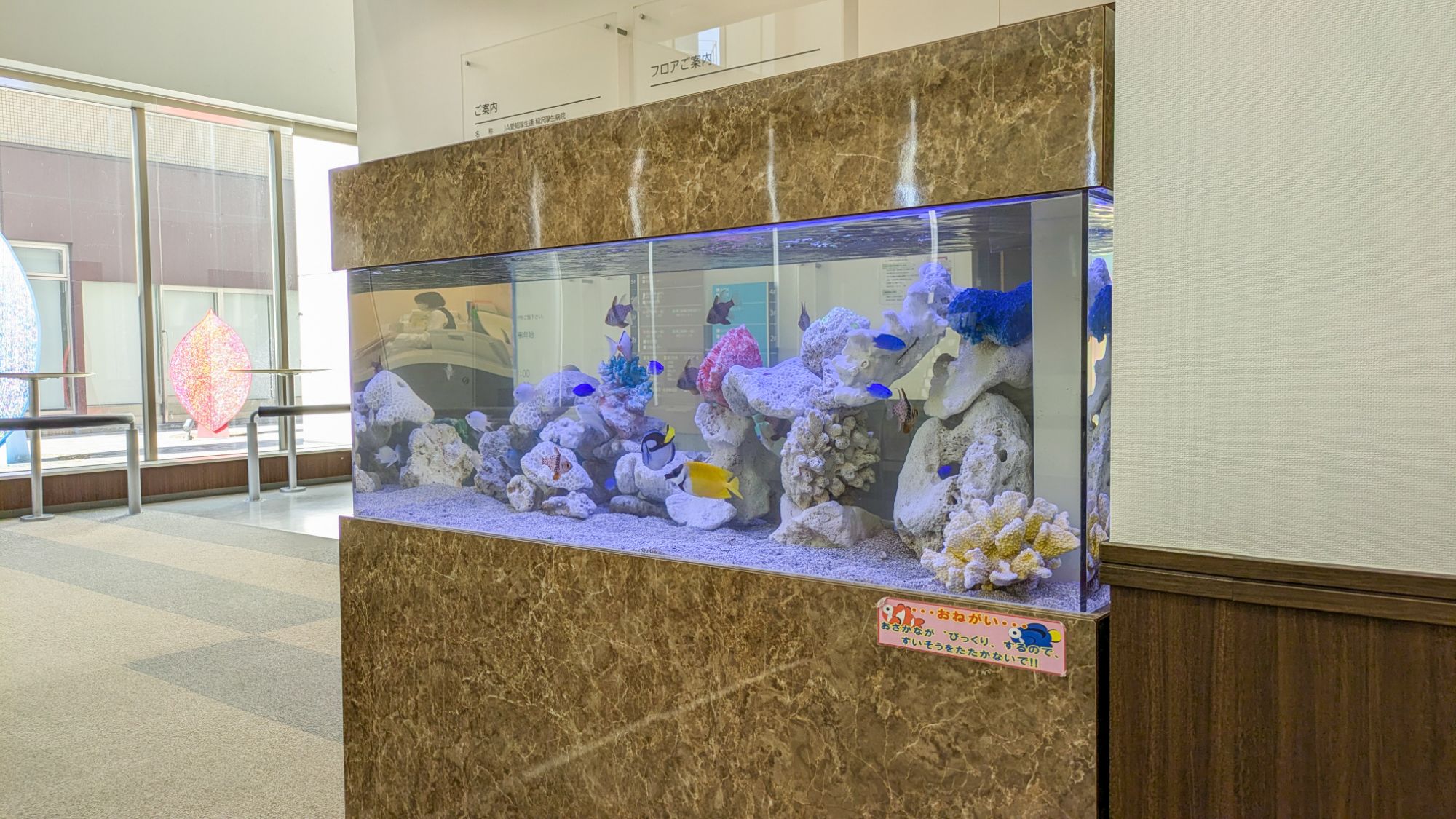 熱帯魚水槽レンタル