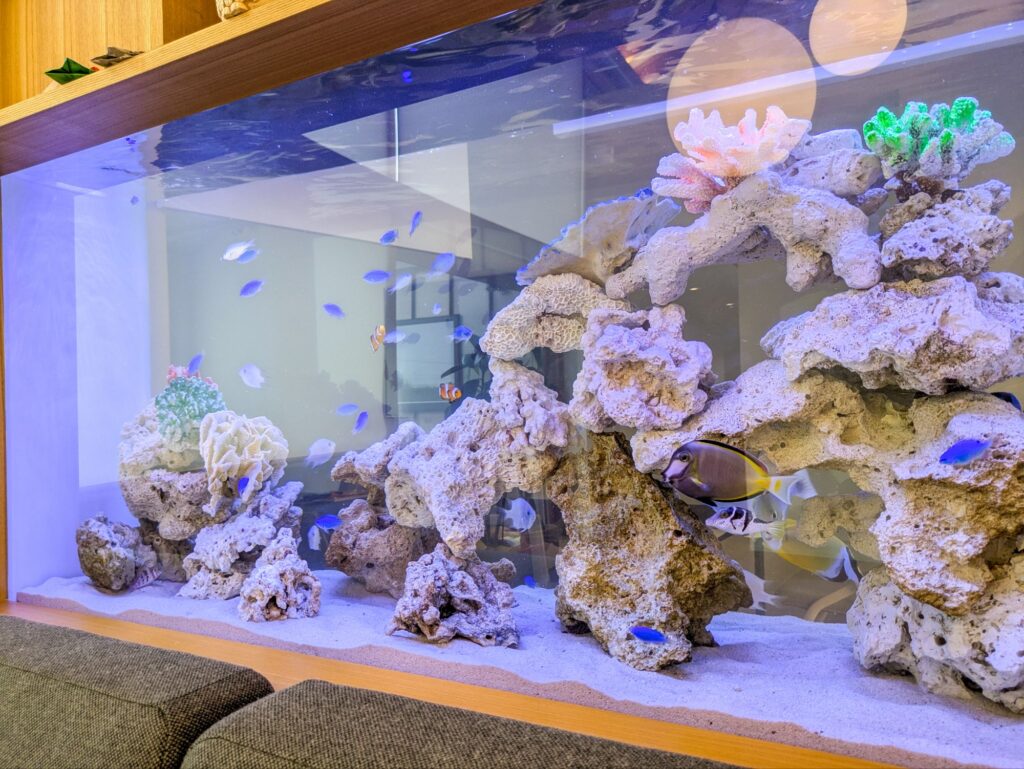 熱帯魚水槽レンタル