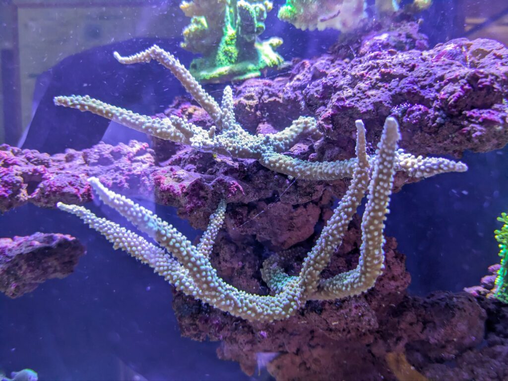 待合室 水槽