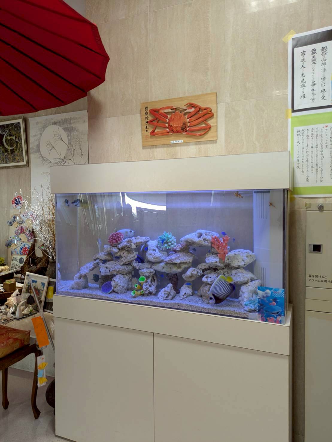 愛知県岡崎市の病院に置いてある熱帯魚水槽の設置事例