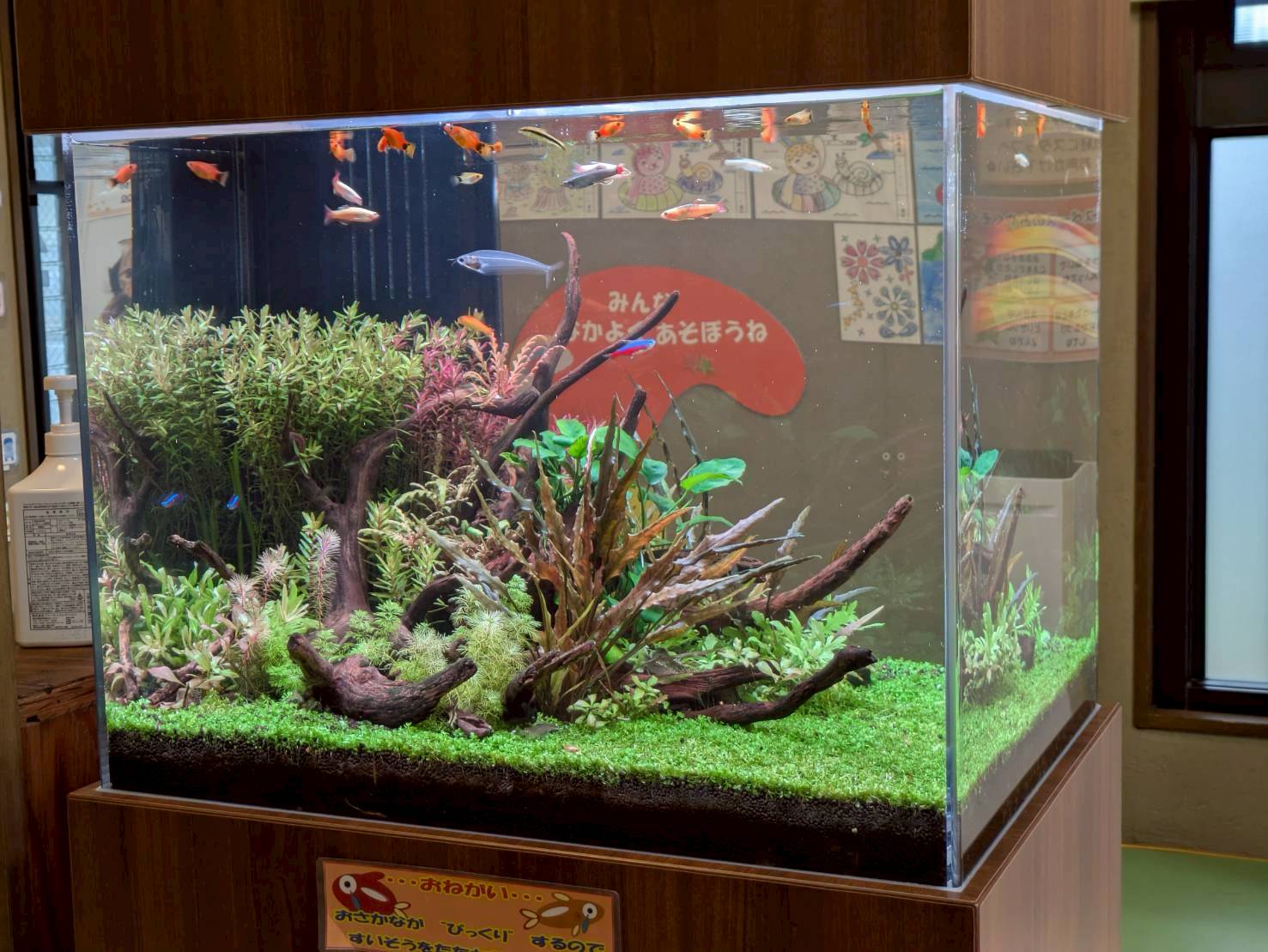 愛知県春日井市の病院に設置されている熱帯魚水槽