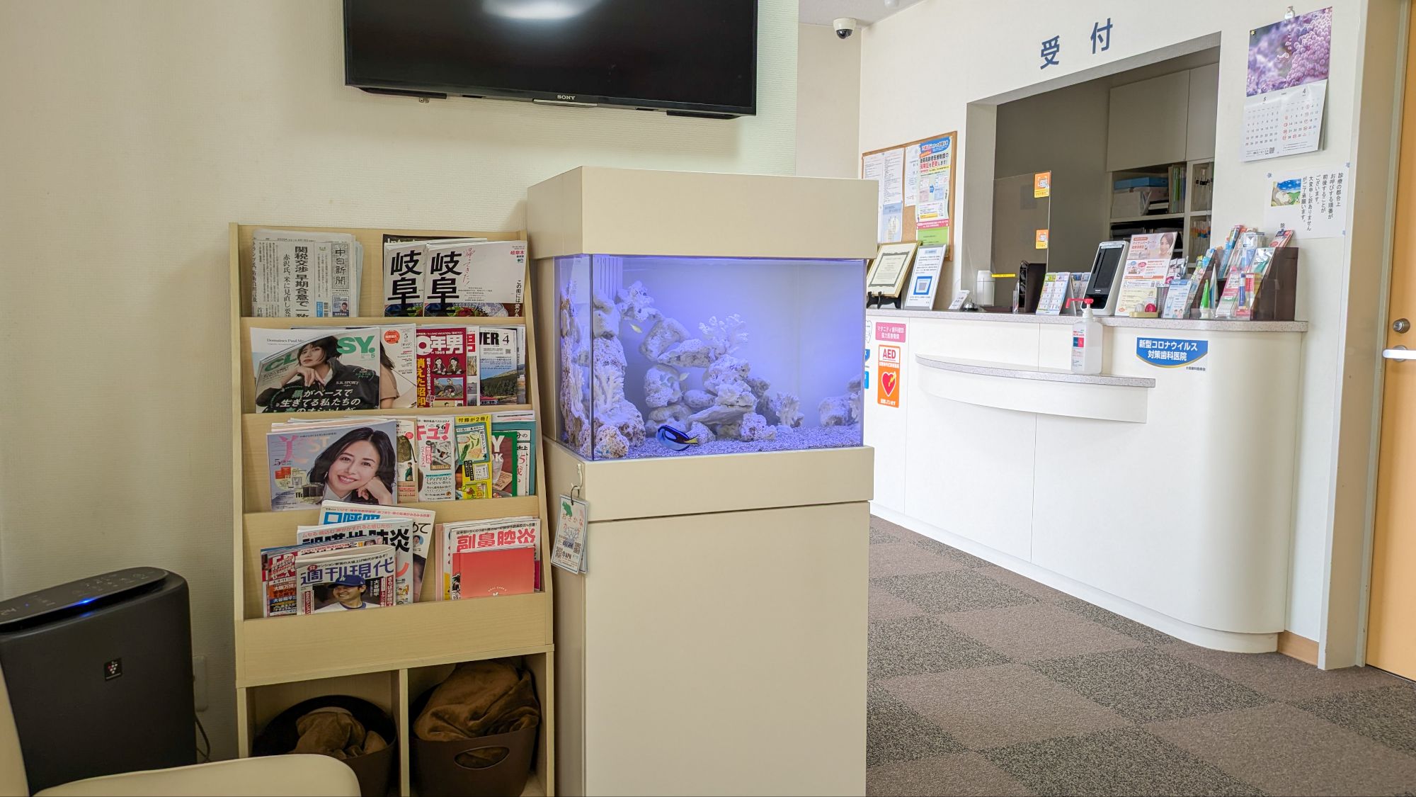 岐阜県大垣市の歯医者さんに設置してある熱帯魚水槽の設置事例
