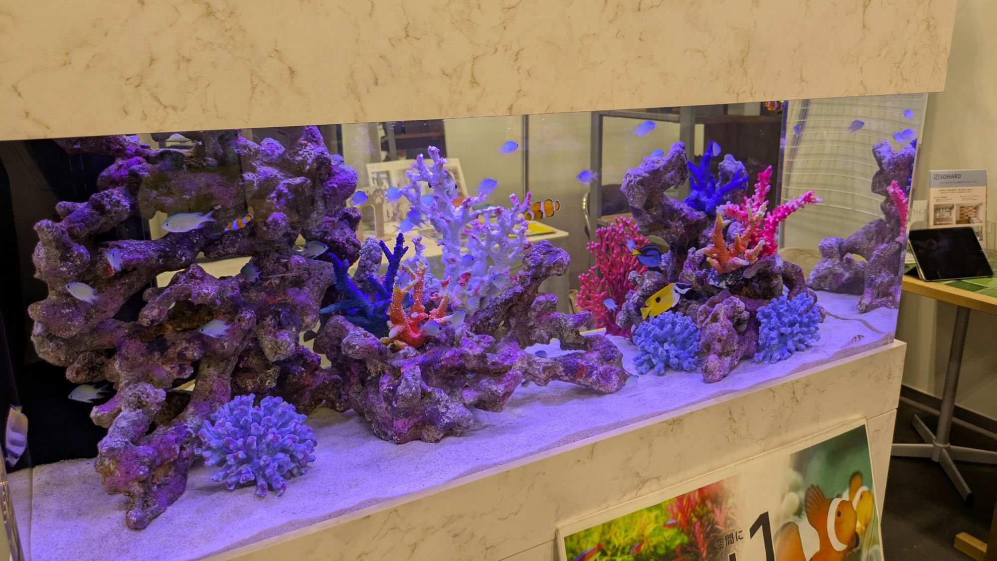 愛知県名古屋市のポートメッセなごやの展示会に出展した熱帯魚水槽