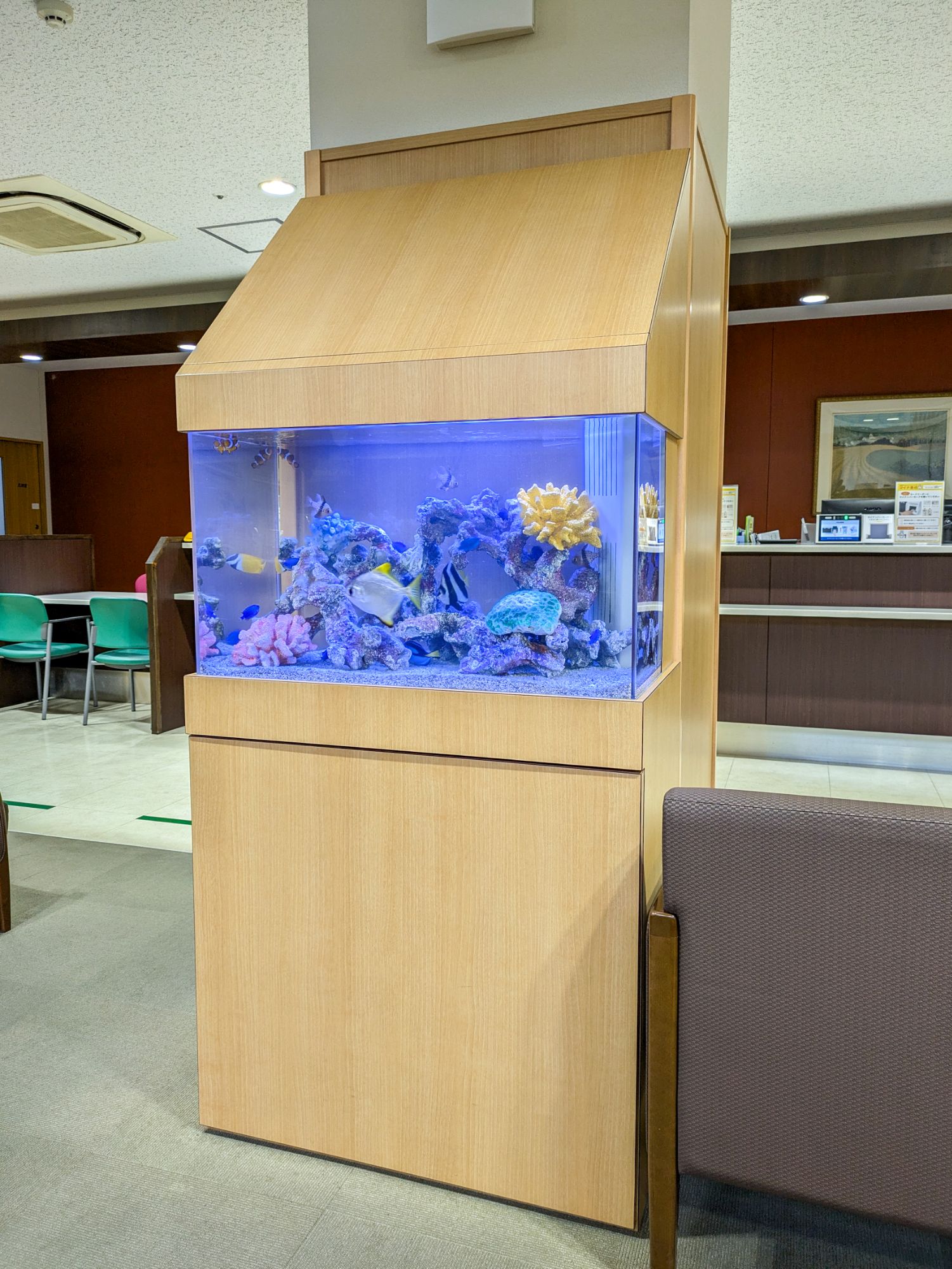 愛知県刈谷市の病院の待合室に設置した海水魚水槽の写真