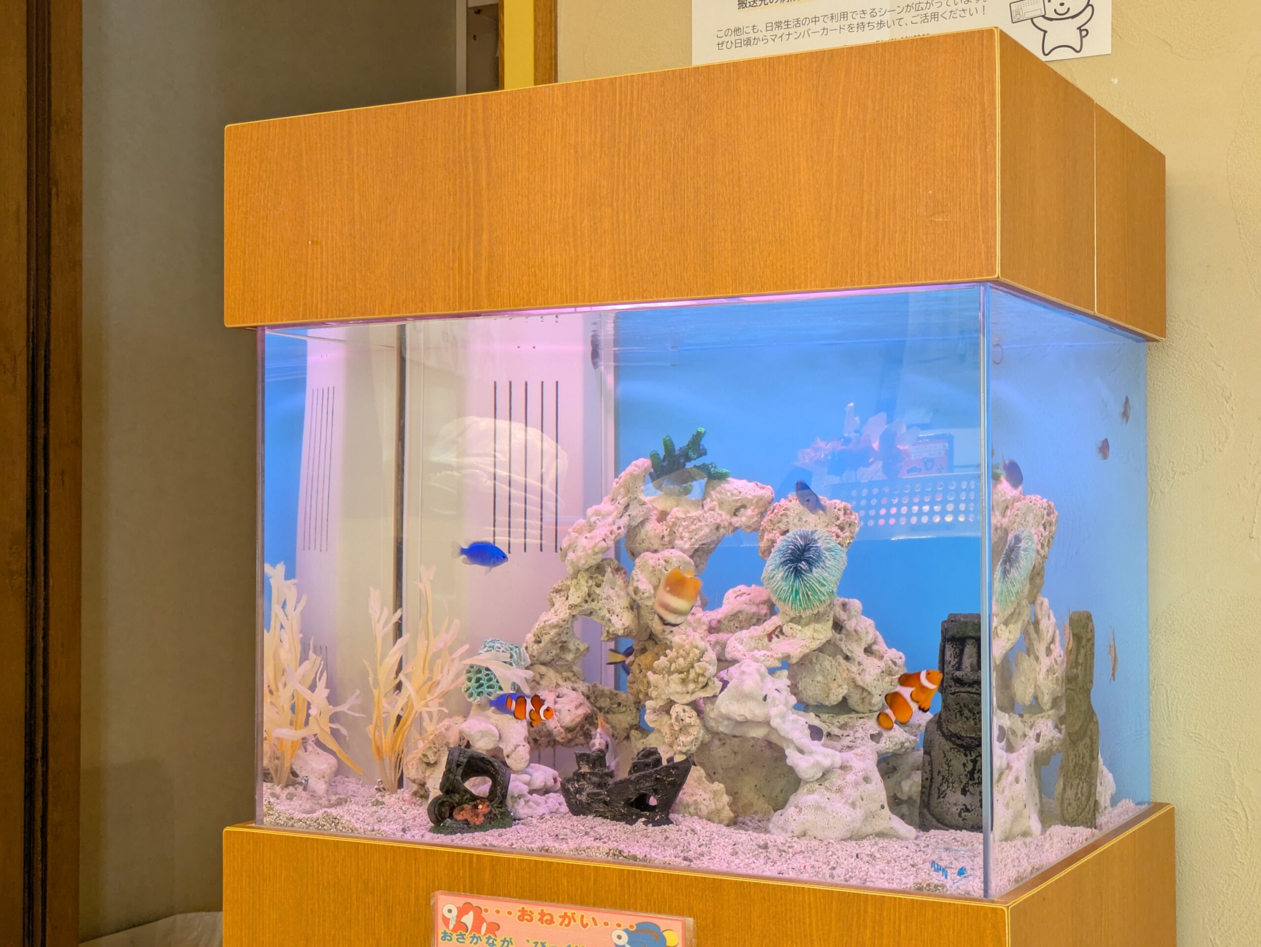 岐阜県羽島市の小児科の待合室に設置してある熱帯魚水槽の設置事例