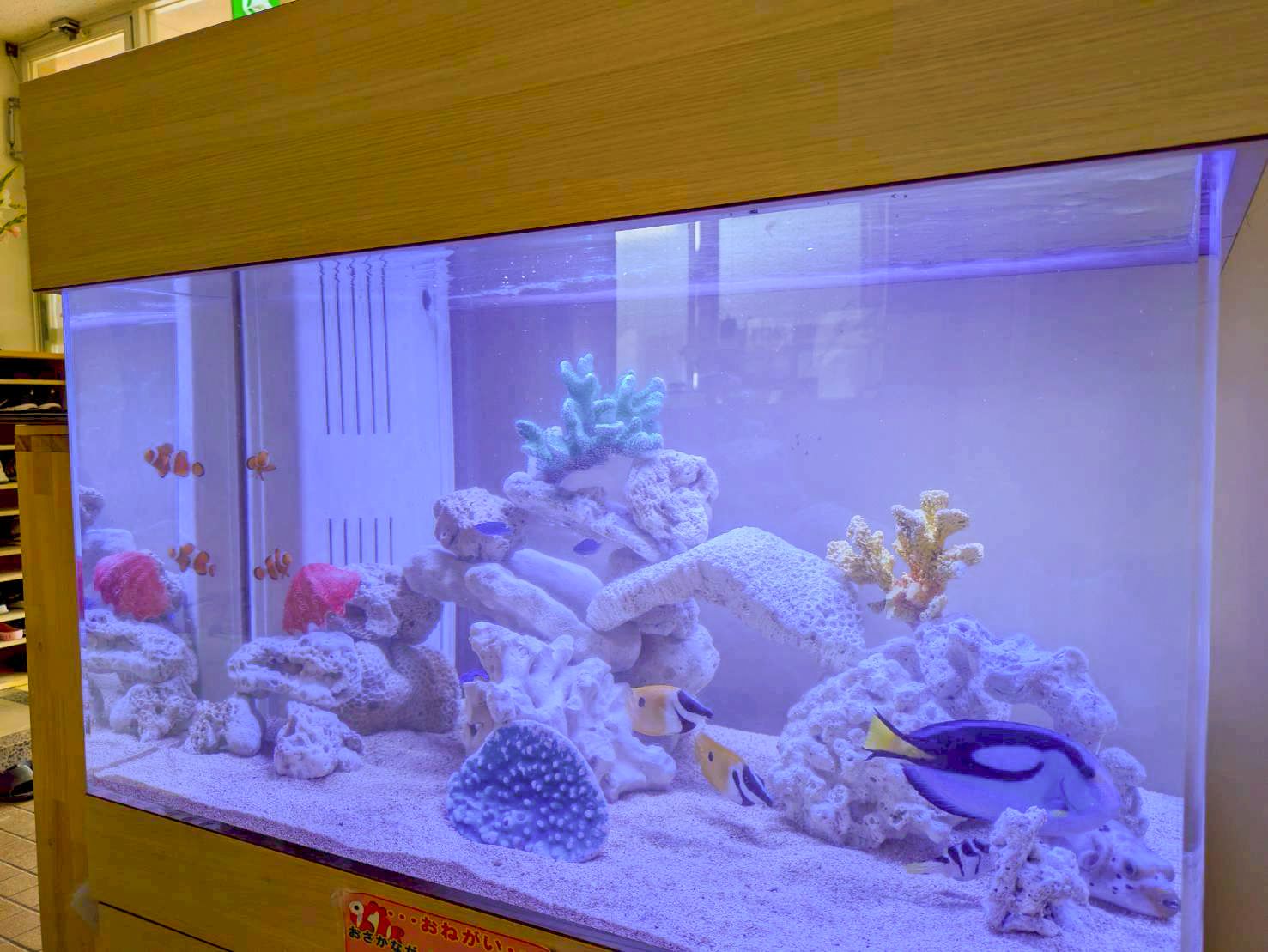 岐阜県大垣市の保育園に設置してある熱帯魚水槽