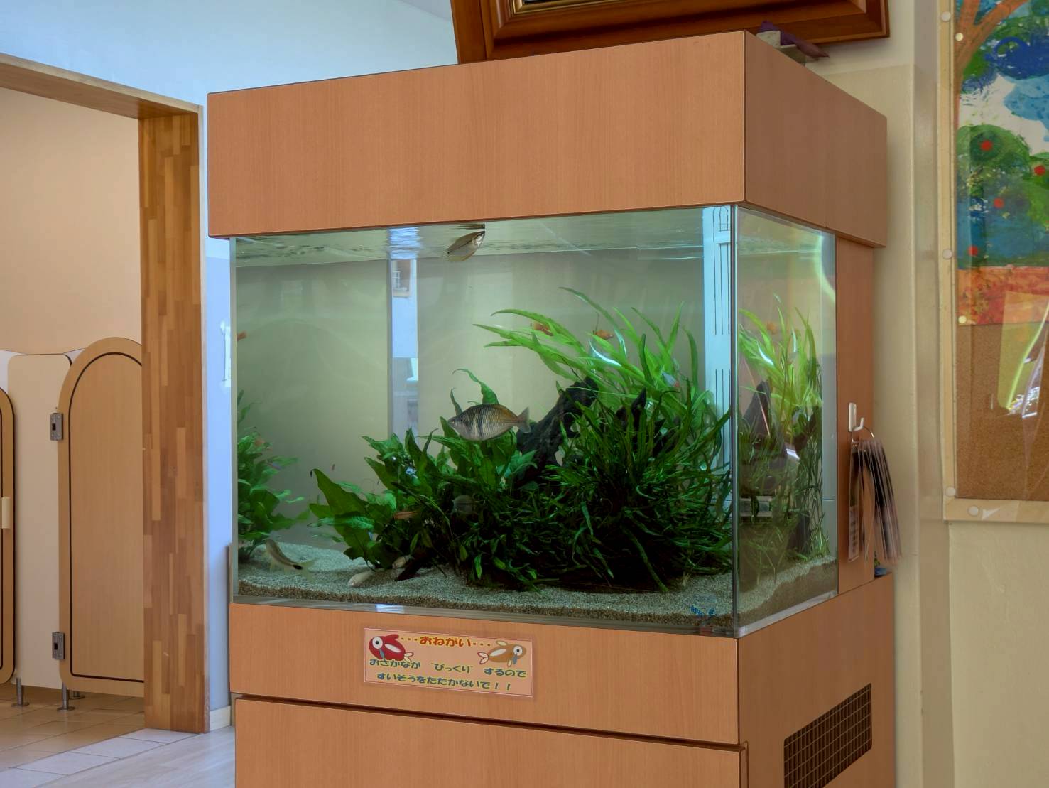 愛知県春日井市の幼稚園に設置してある熱帯魚水槽