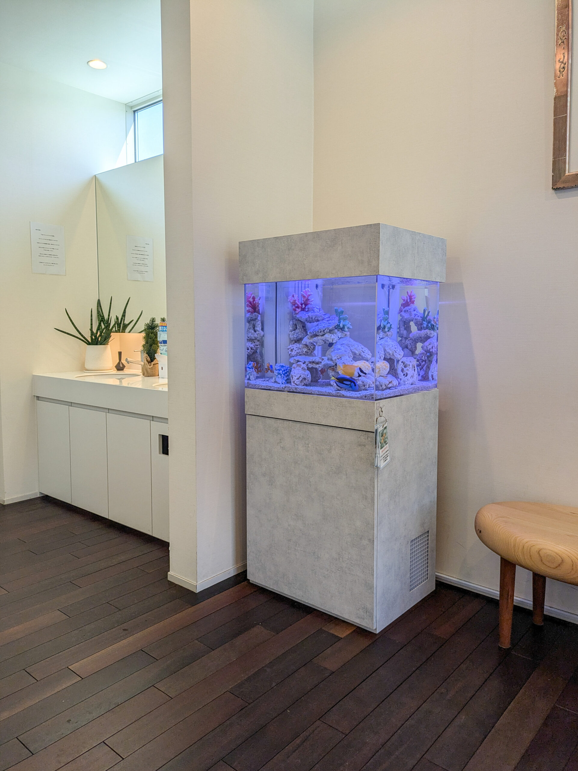 岐阜県の歯医者さん待合室に設置されている熱帯魚水槽