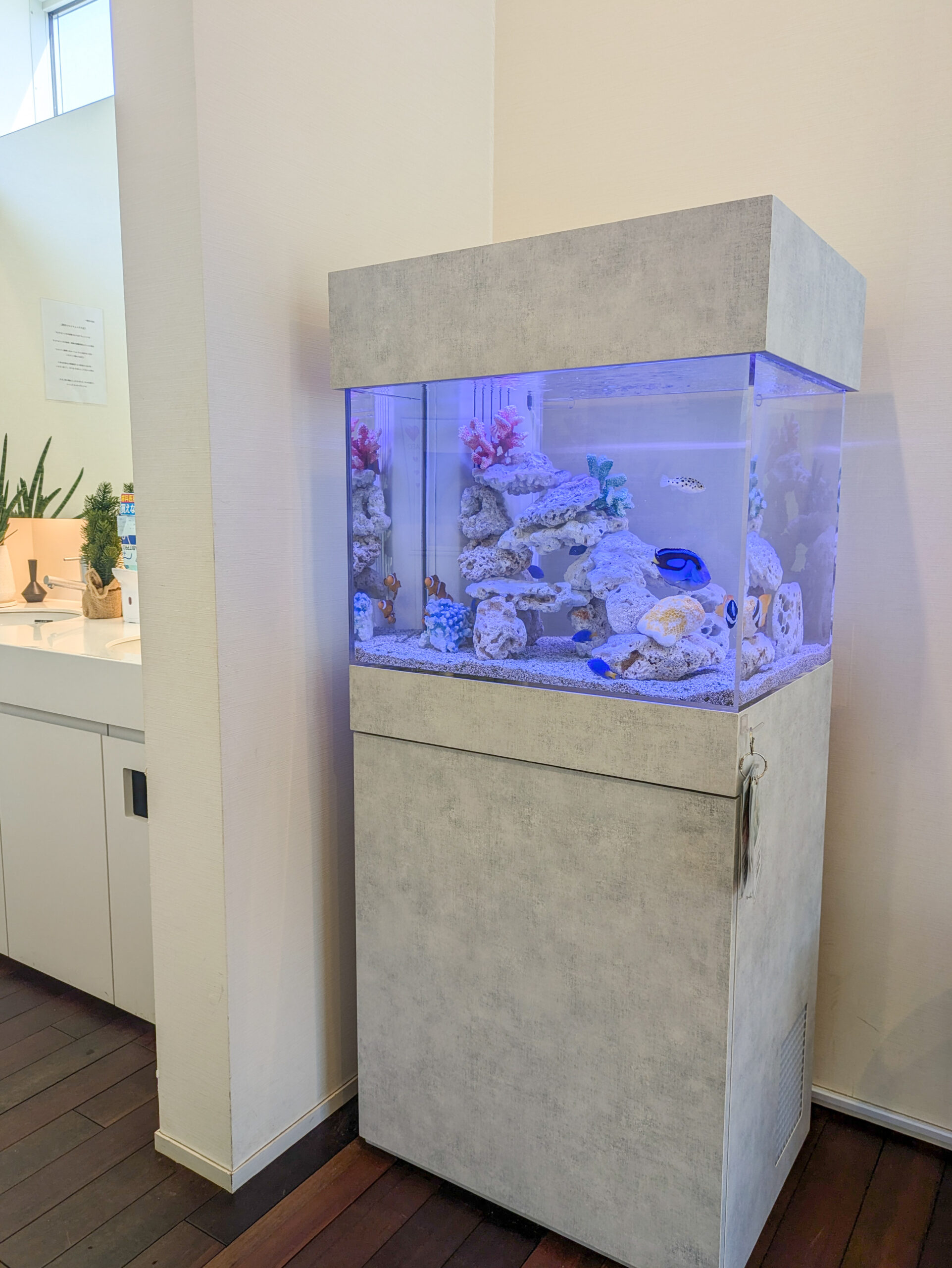 岐阜県の歯医者さん待合室に設置されている熱帯魚水槽