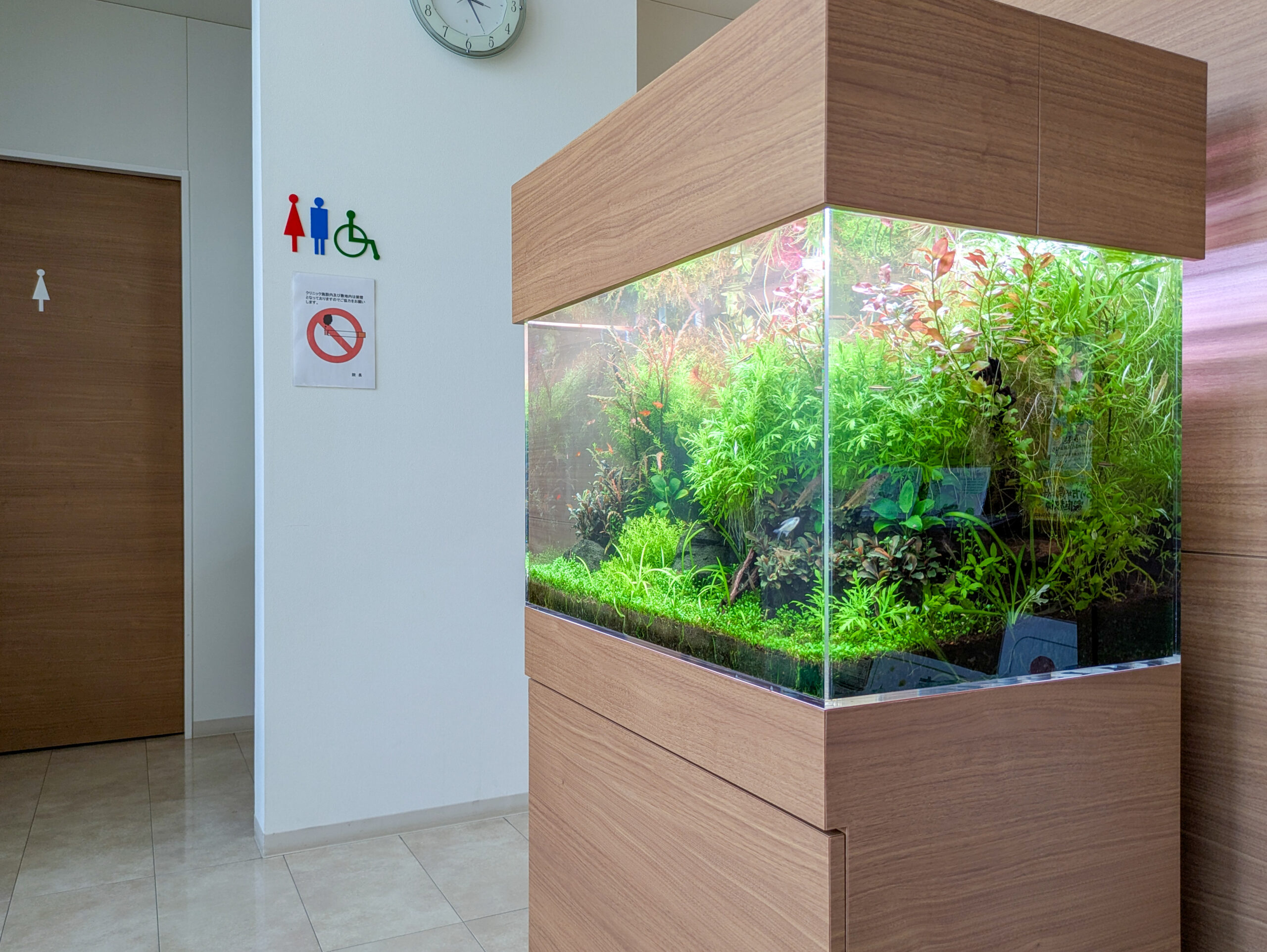 愛知県、岐阜県、水槽レンタルの写真