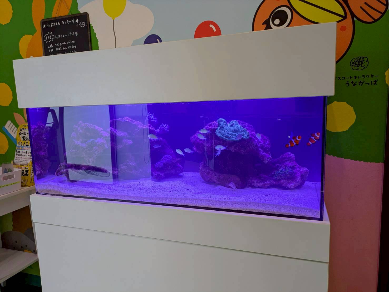 岐阜県多治見市の歯医者待合室に設置してあるレンタル水槽