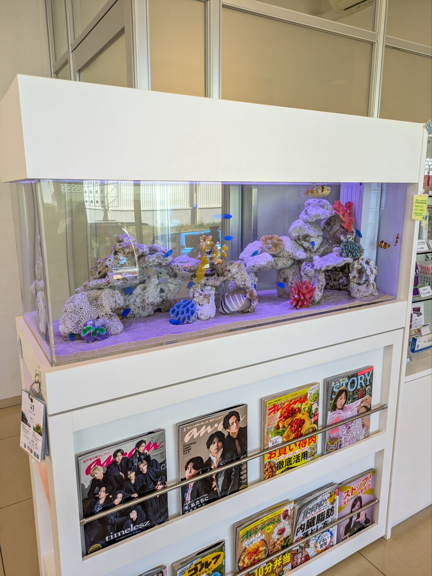 愛知県の歯科医院待合室に設置されている水槽