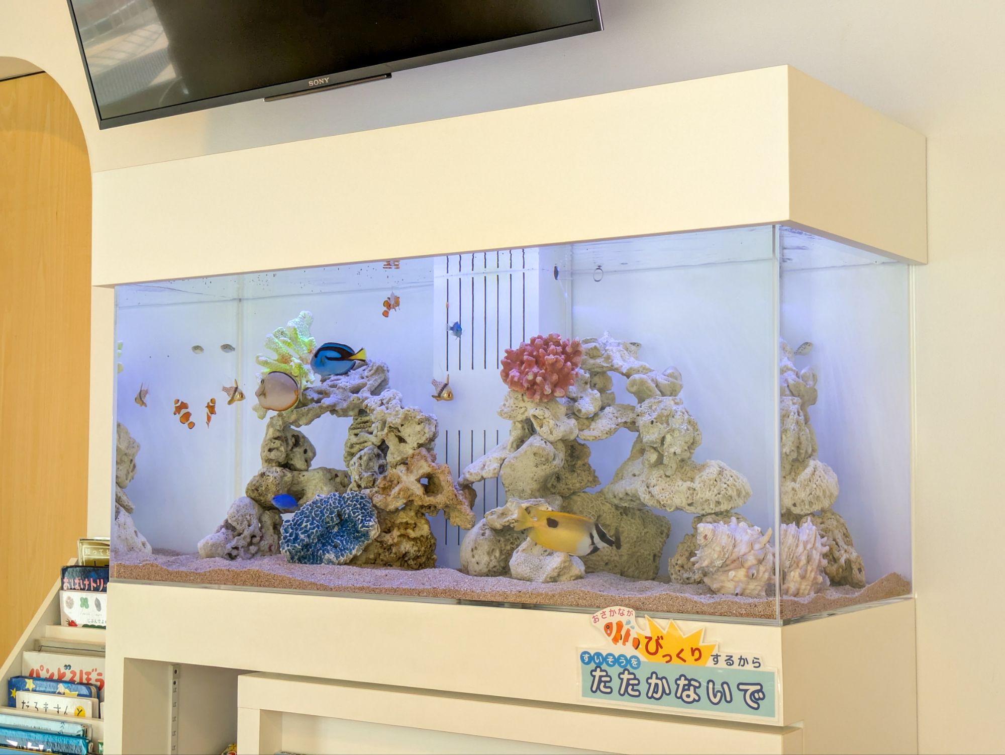 愛知県名古屋市西区のこどもクリニックに設置されている熱帯魚水槽の写真
