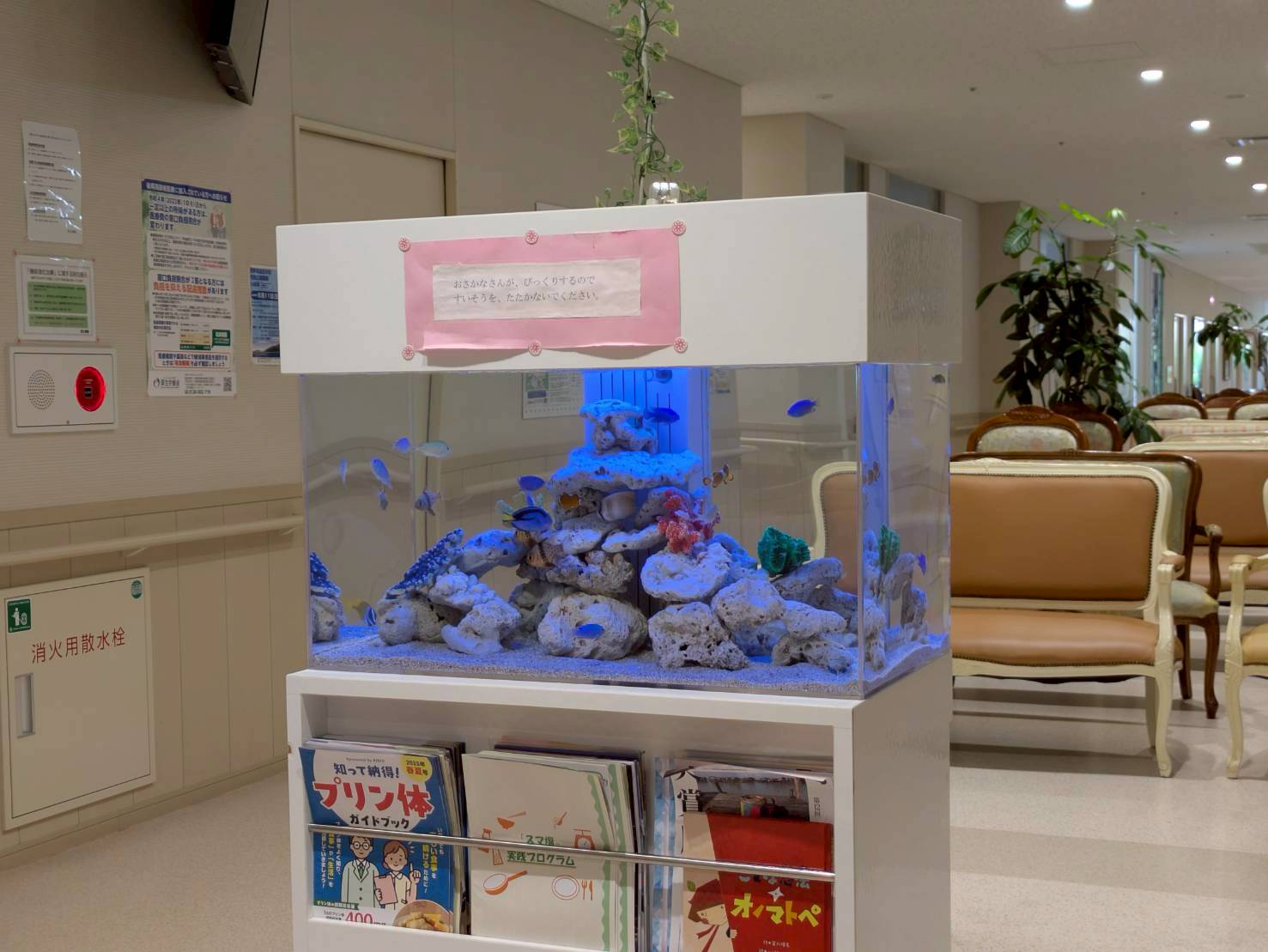 岐阜県岐阜市の病院待合室に設置してある熱帯魚水槽の写真