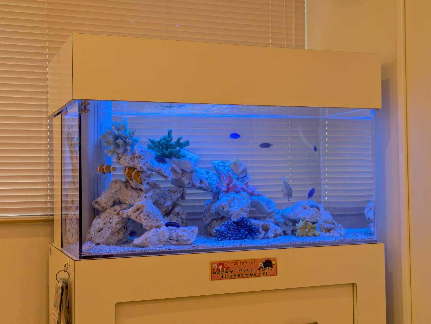 岐阜県の病院待合室に設置してあるレンタル水槽