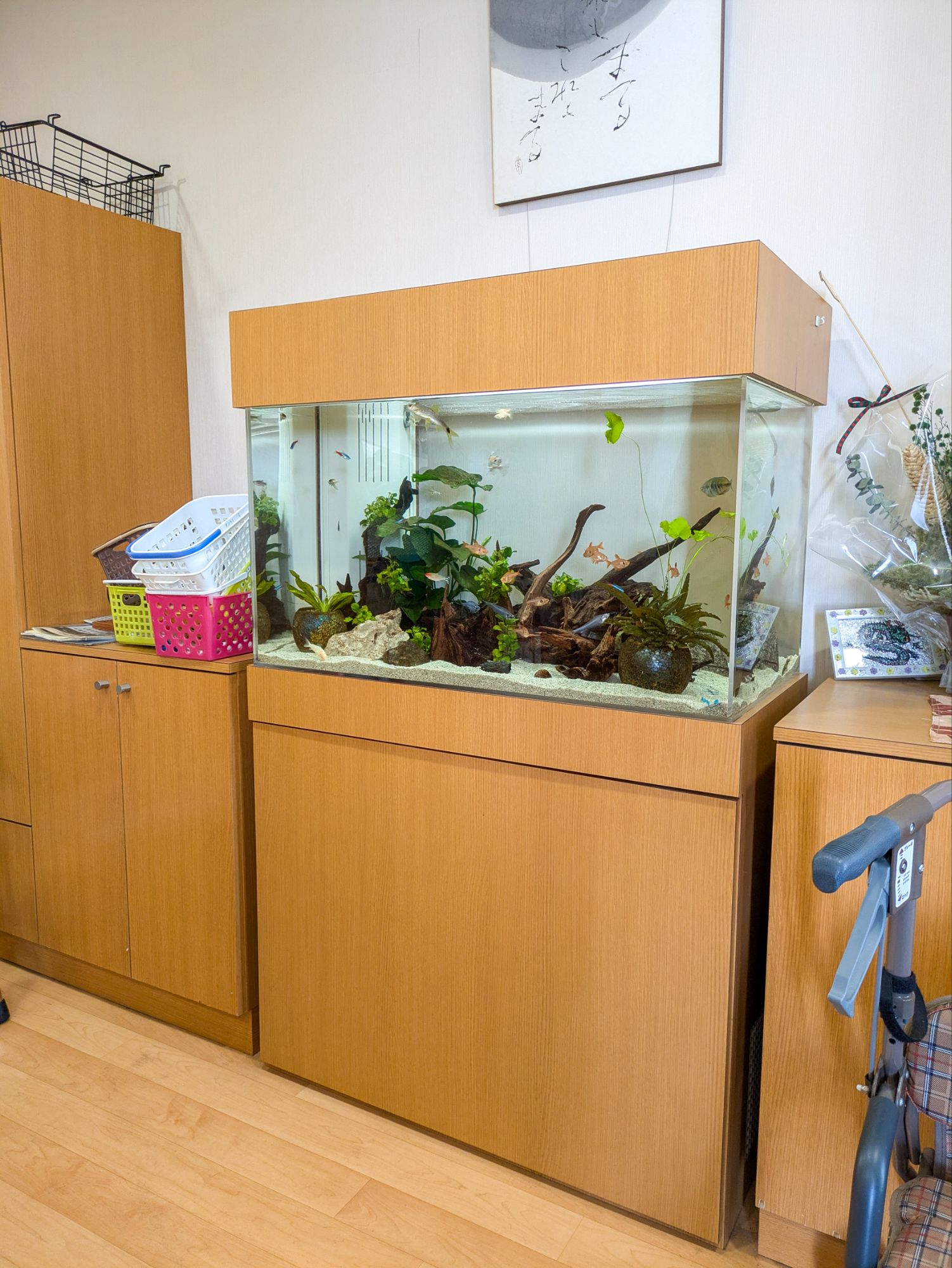 愛知県の介護施設に設置してある熱帯魚水槽の写真