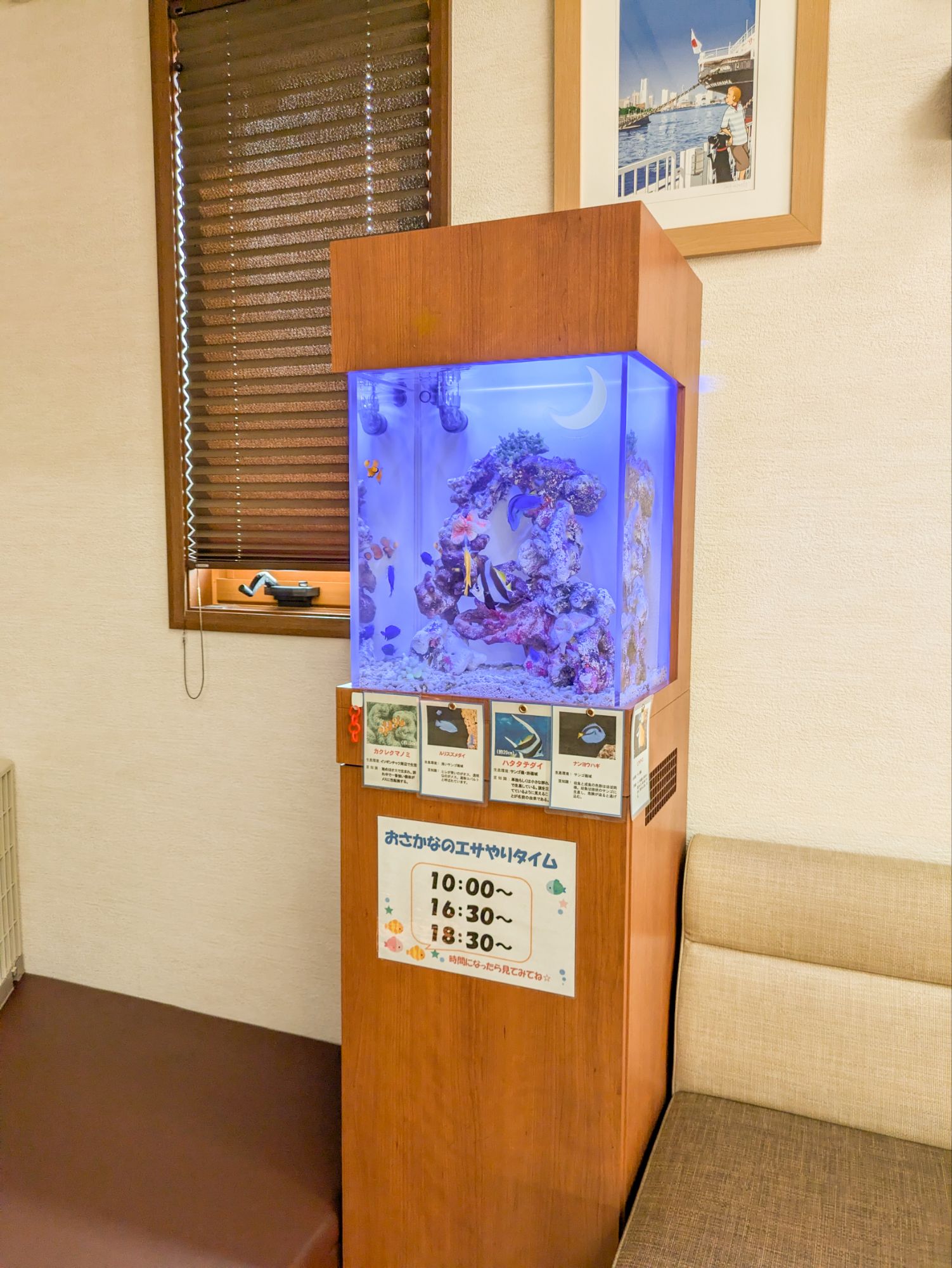 愛知県の耳鼻科に設置してあるオーダーメイド熱帯魚水槽の写真