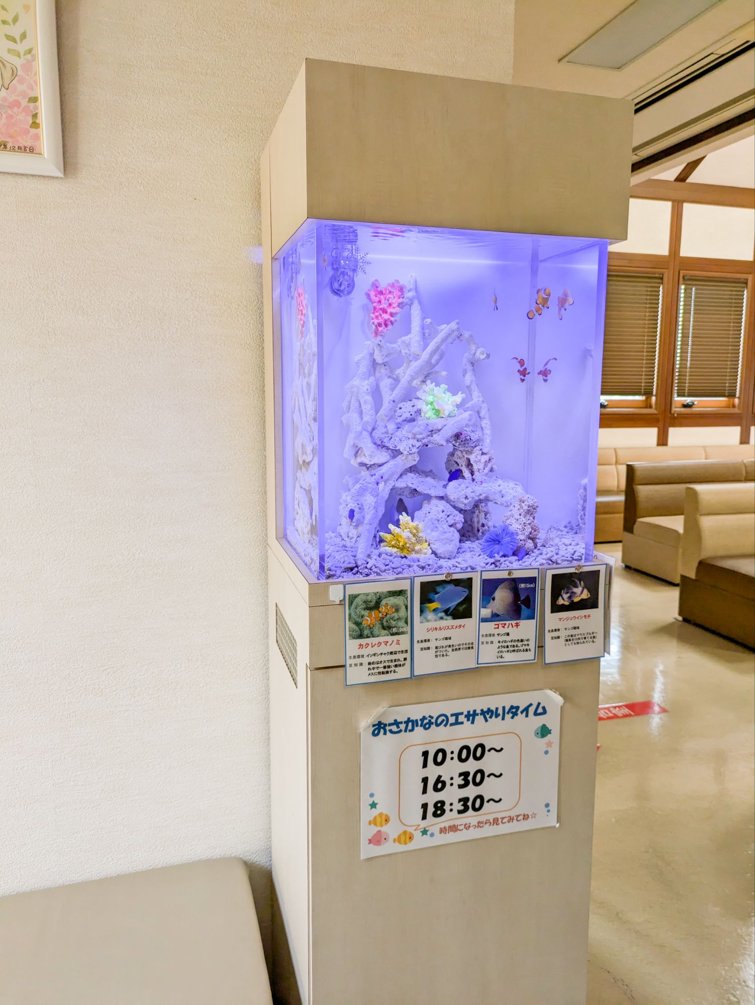 愛知県病院の待合室に設置してある熱帯魚水槽の写真