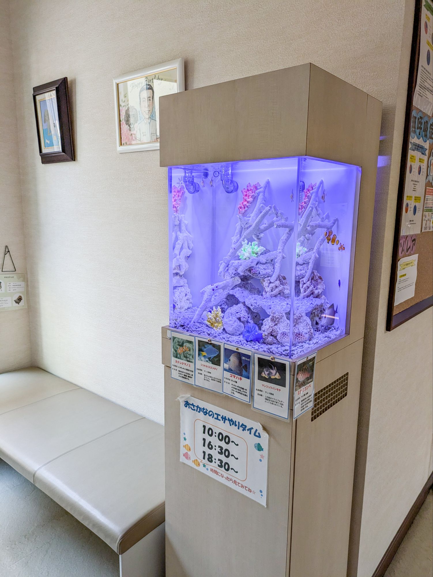 愛知県のクリニック待合室に設置してある熱帯魚水槽の写真