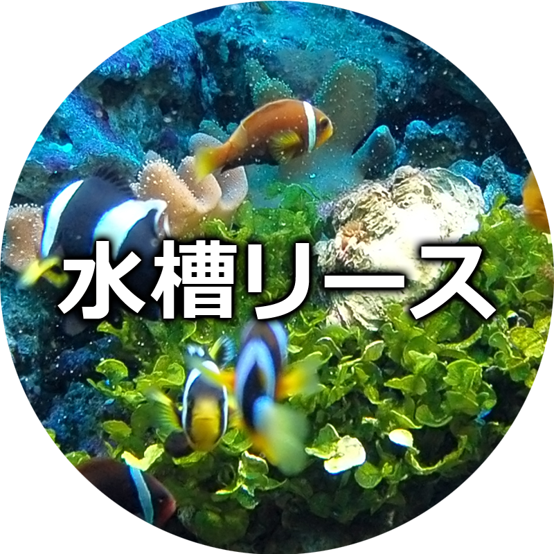 水槽リース