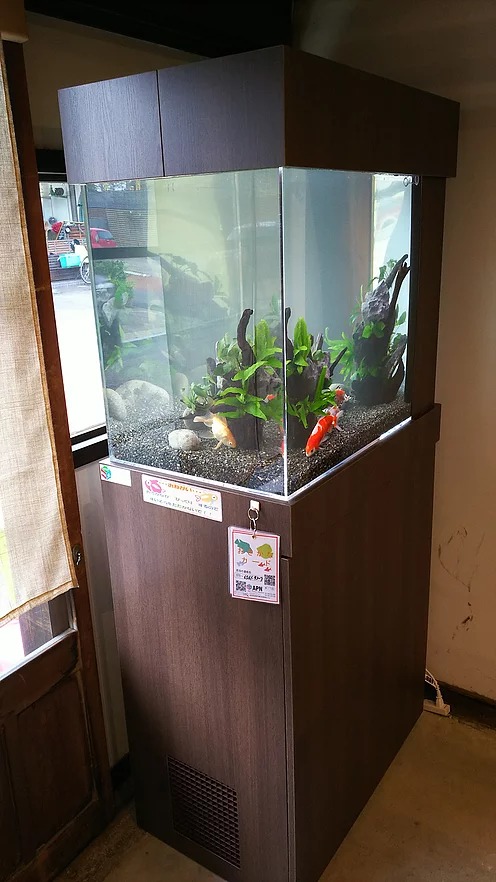 愛知県犬山市・飲食店様